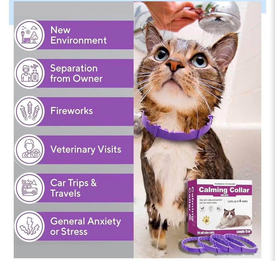 4-Pack Calming Collars for Cats