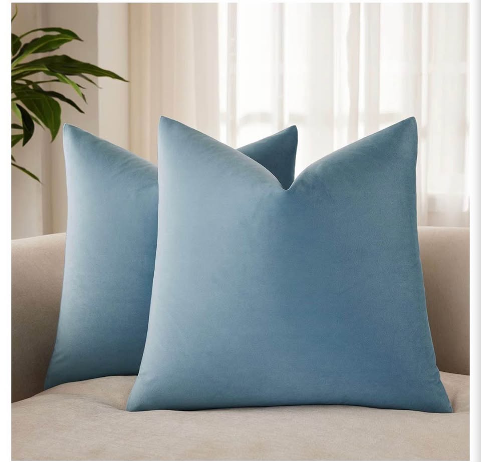 2 pack Artscope Luxury Velvet Pillow Covers 20x20i