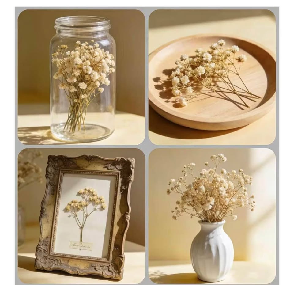 90Pcs Mini Baby's Breath Real Natural Dried Pressed Flowers for Resin Art Craft 