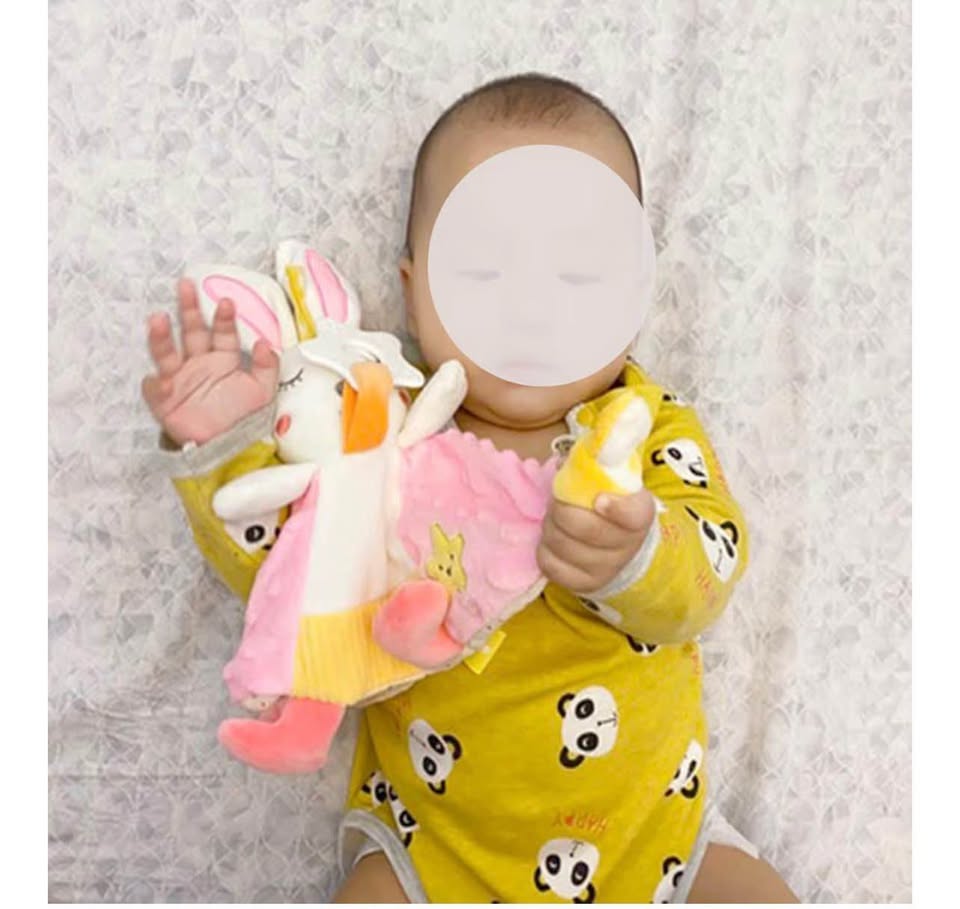 Baby Stuffed Animal Security Blanket with Ribbon & Rattle, Baby Lovey Rabbit Soo