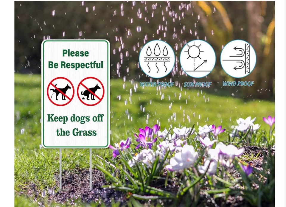 Keep Dogs off the Grass Yard Sign