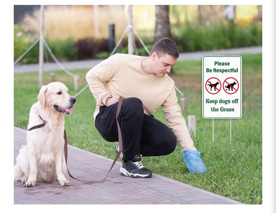 Keep Dogs off the Grass Yard Sign