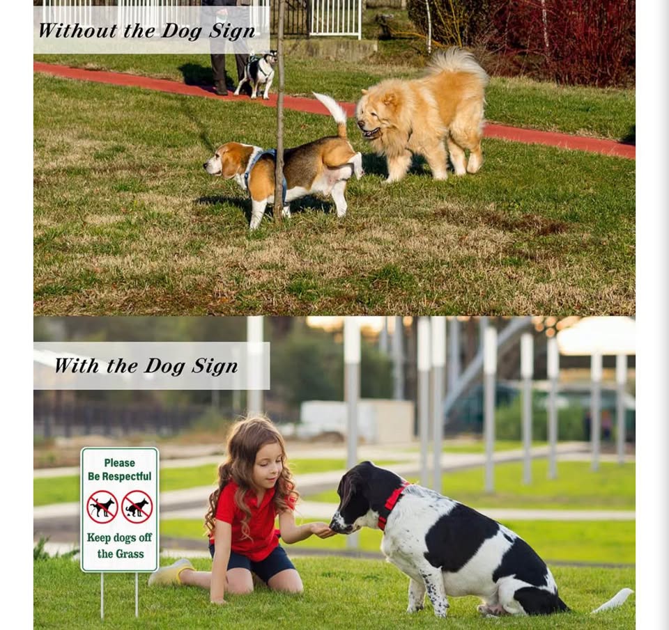 Keep Dogs off the Grass Yard Sign