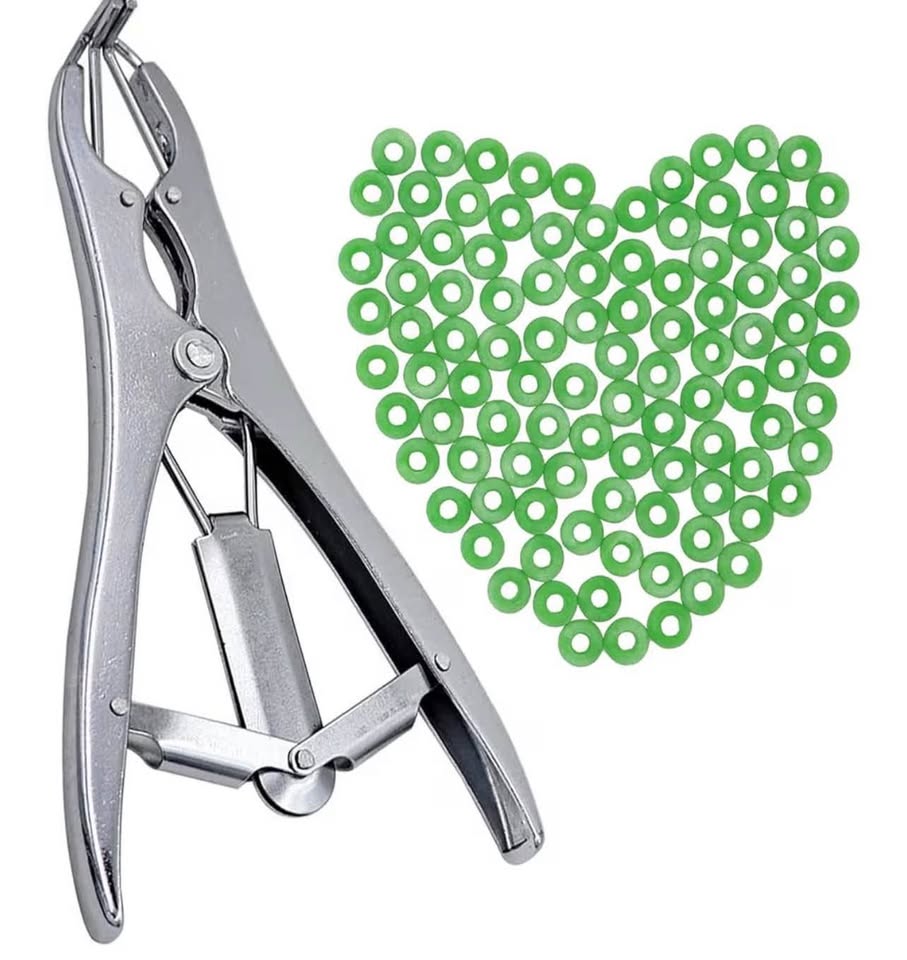 Livestock Castration Bander with 100 Pieces Castrator Rings for Lambs and Piglet