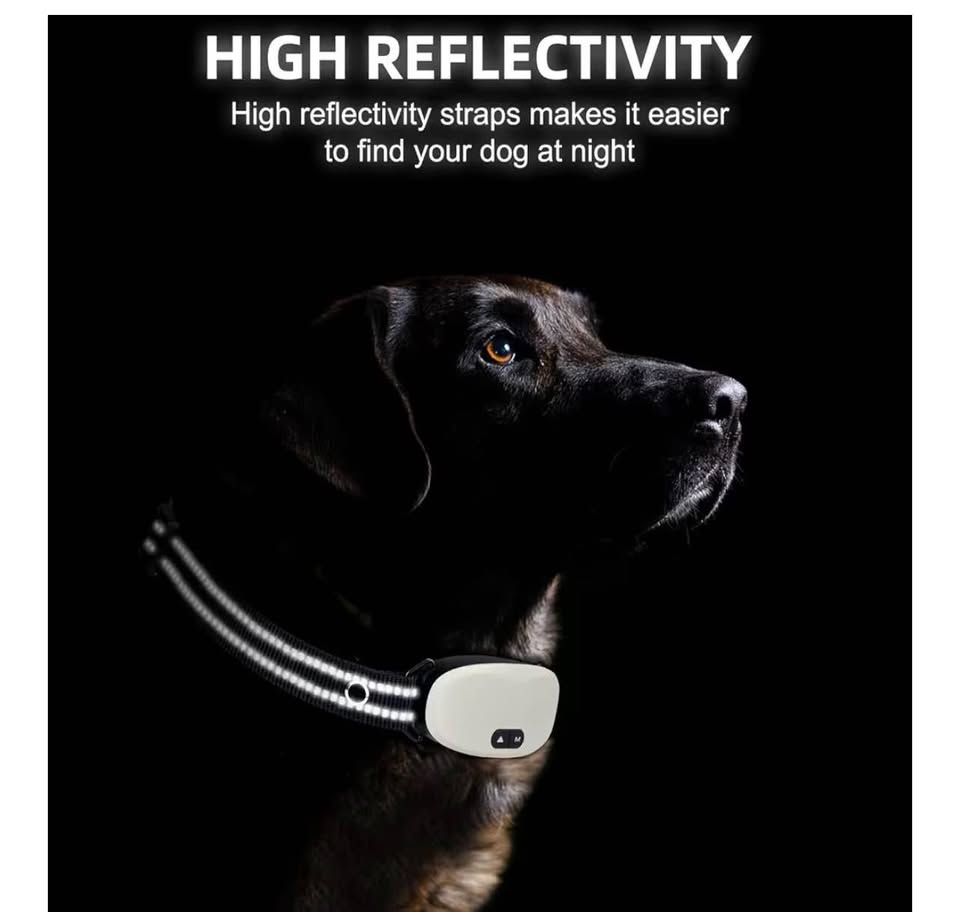 Collar Replacement Strap, Reflective Replacement Nylon Collar Strap Dog GPS Trai