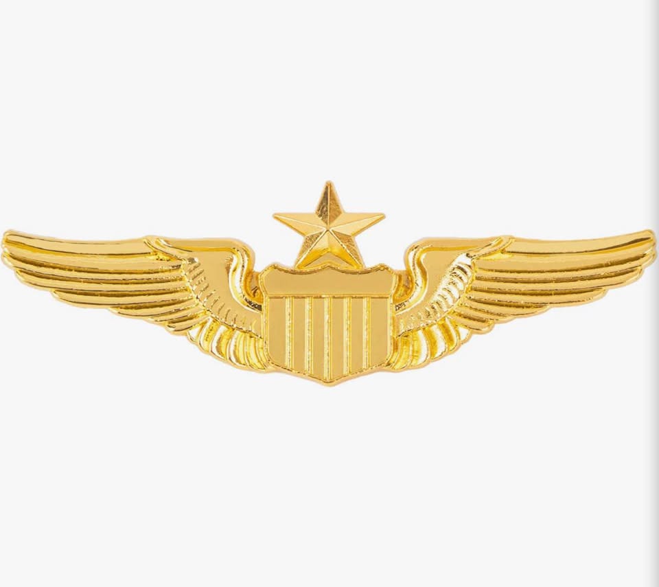 Gold Senior Pilot Wing Pin