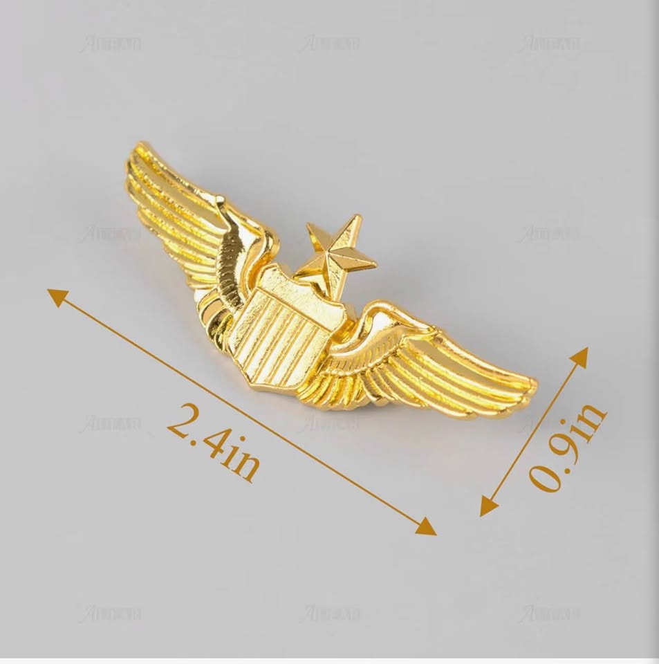 Gold Senior Pilot Wing Pin