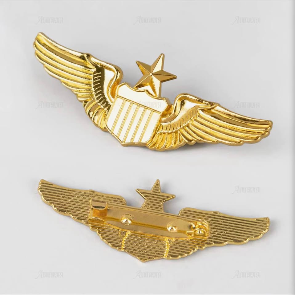 Gold Senior Pilot Wing Pin