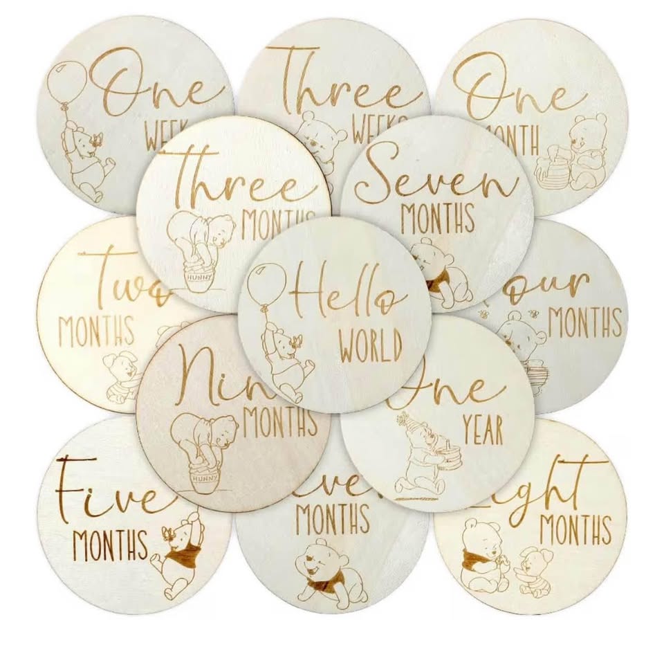 Winnie Baby Monthly Milestone Marker Discs Baby Announcement Sign Newborn Sign F