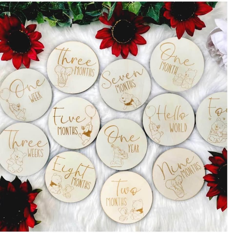 Winnie Baby Monthly Milestone Marker Discs Baby Announcement Sign Newborn Sign F
