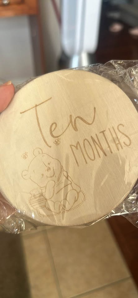 Winnie Baby Monthly Milestone Marker Discs Baby Announcement Sign Newborn Sign F