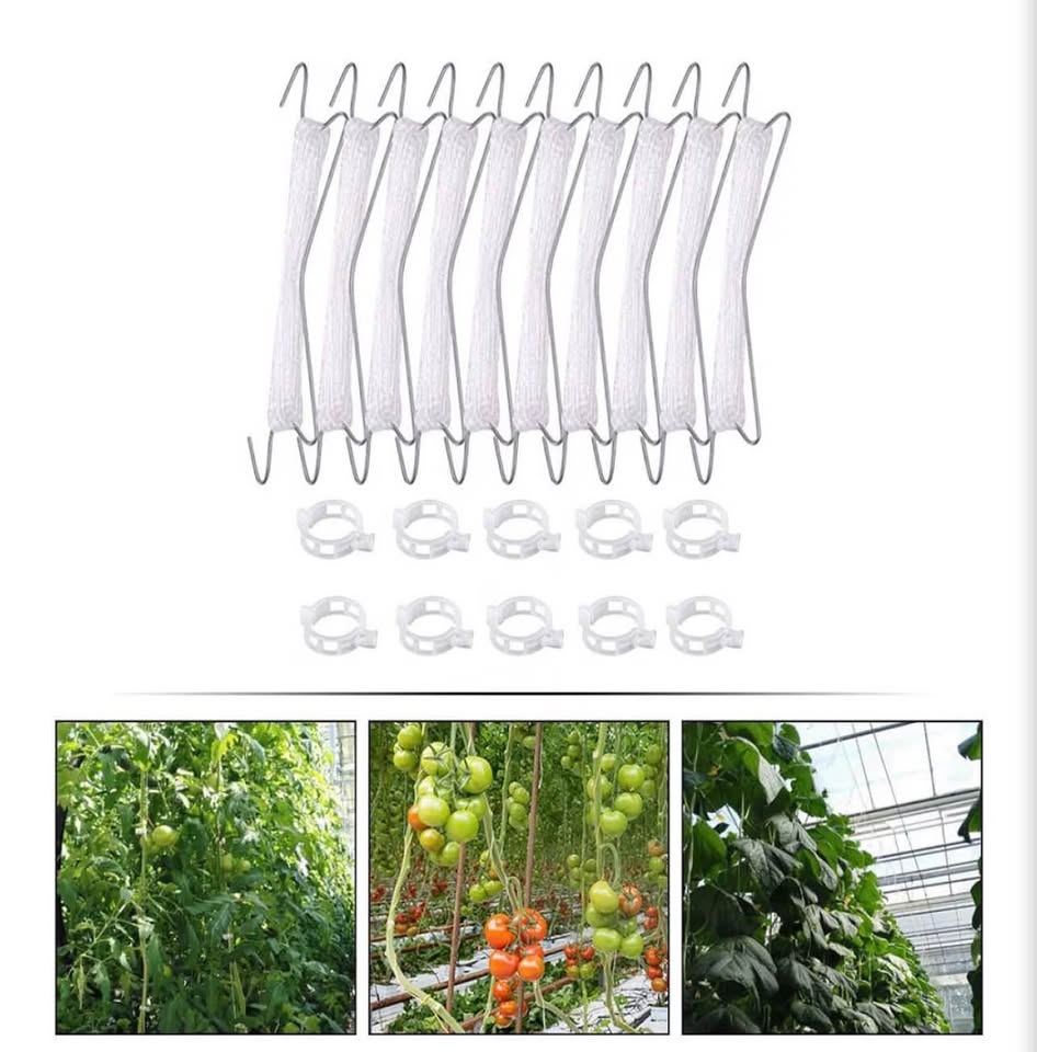 40 pcs Tomato Support Hooks with Twine and Clips