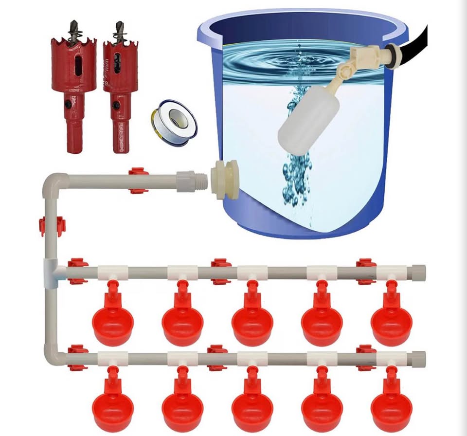 Complete Set Pipeline Automatic Chicken Nipple Waterer Cups and 1/2" PVC Tee Fit