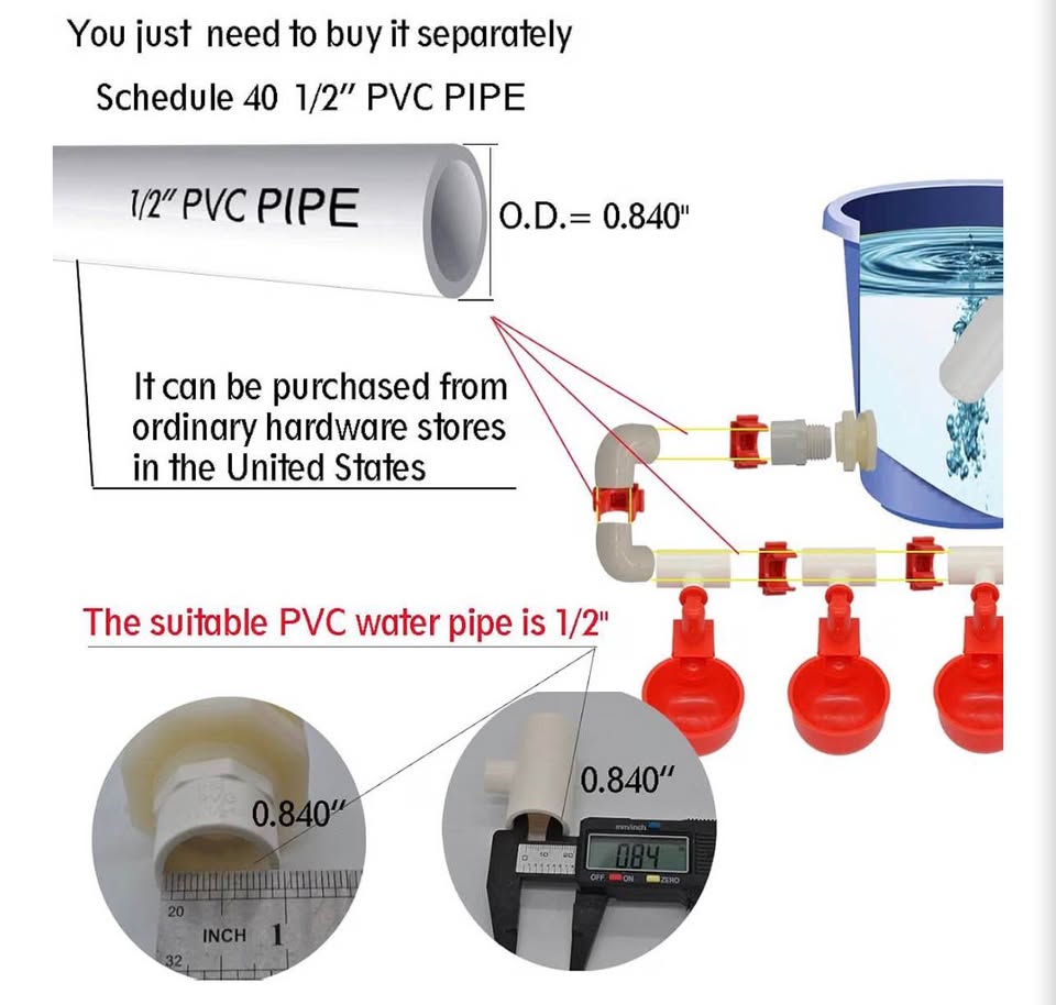 Complete Set Pipeline Automatic Chicken Nipple Waterer Cups and 1/2" PVC Tee Fit