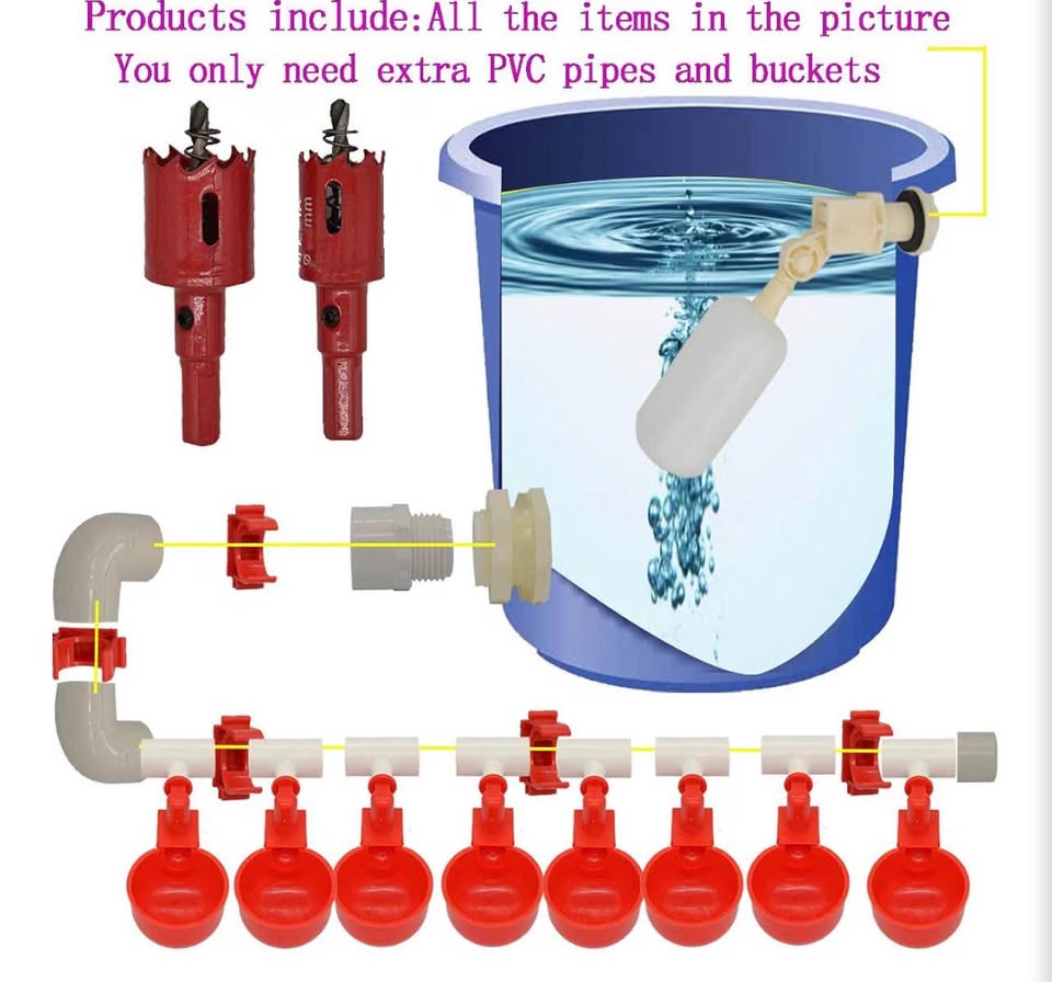 Complete Set Pipeline Automatic Chicken Nipple Waterer Cups and 1/2" PVC Tee Fit