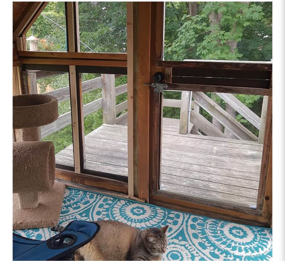 Pet Proof Window Screen Replacements 47.2"X 98.4" Window Screen Roll Door Screen