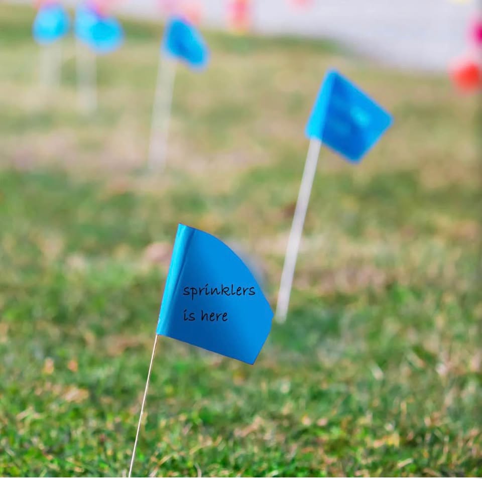 100 Pcs Blue Marking Flags 4x5 Inch