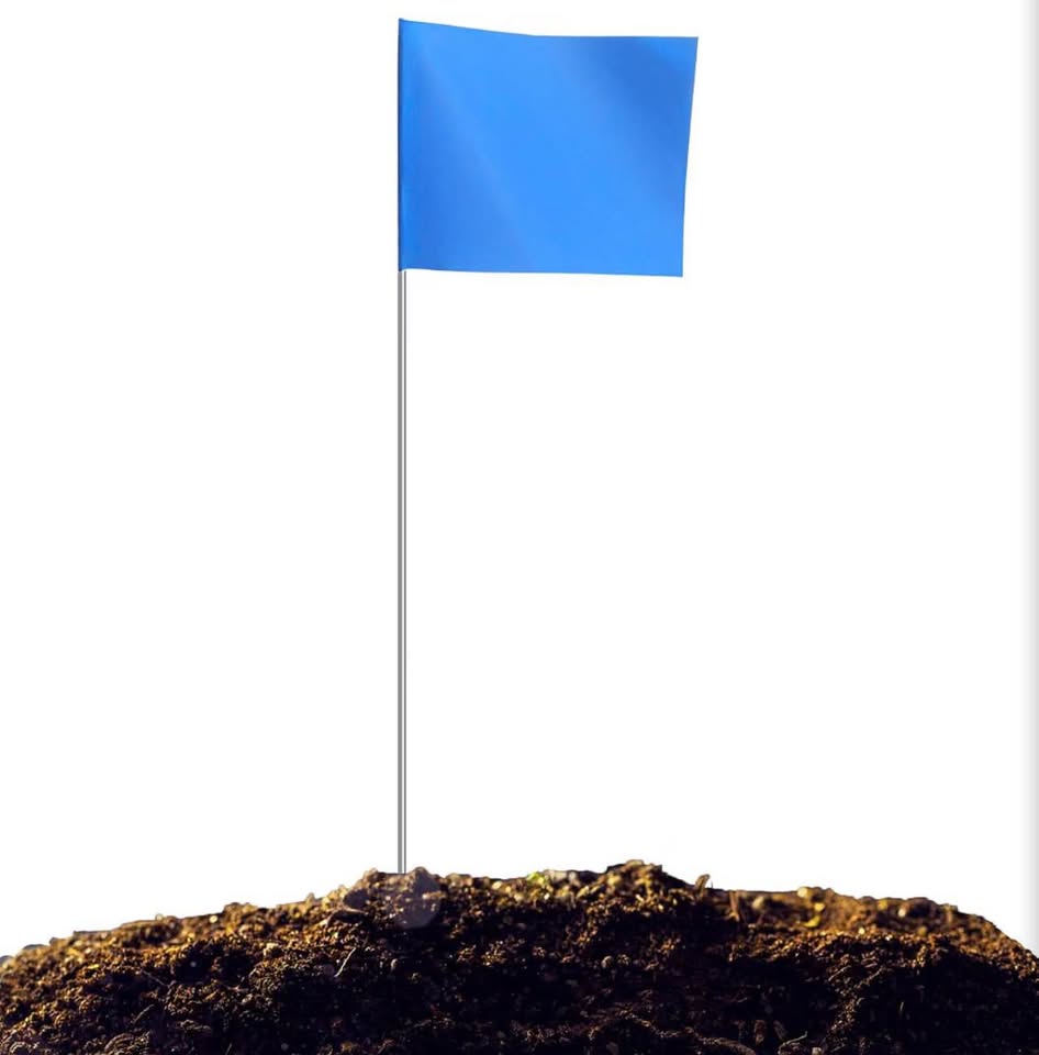 100 Pcs Blue Marking Flags 4x5 Inch