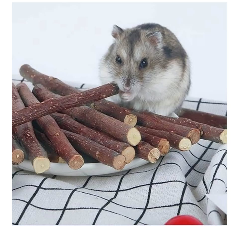 Apple Tree Sticks 2.2lb 1000g, Natural Wood Molar Sticks, Pet Chew Toys for Guin