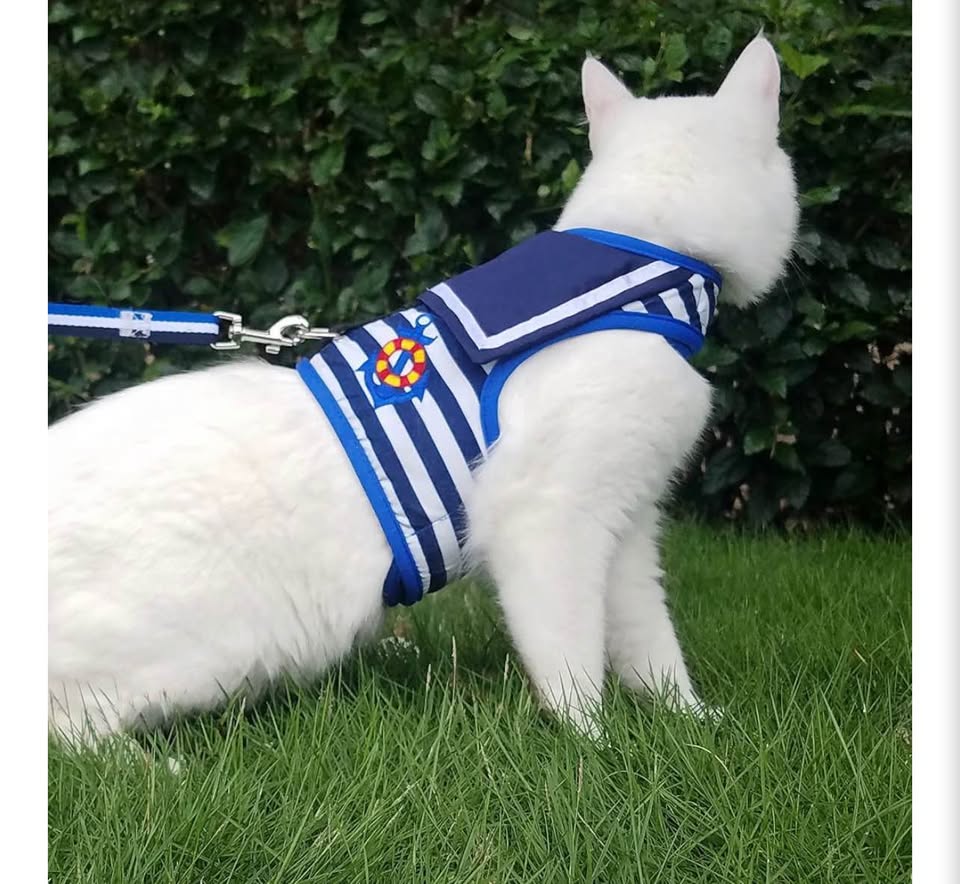 Catcho Sailor Style Cat Harness and Leash Set