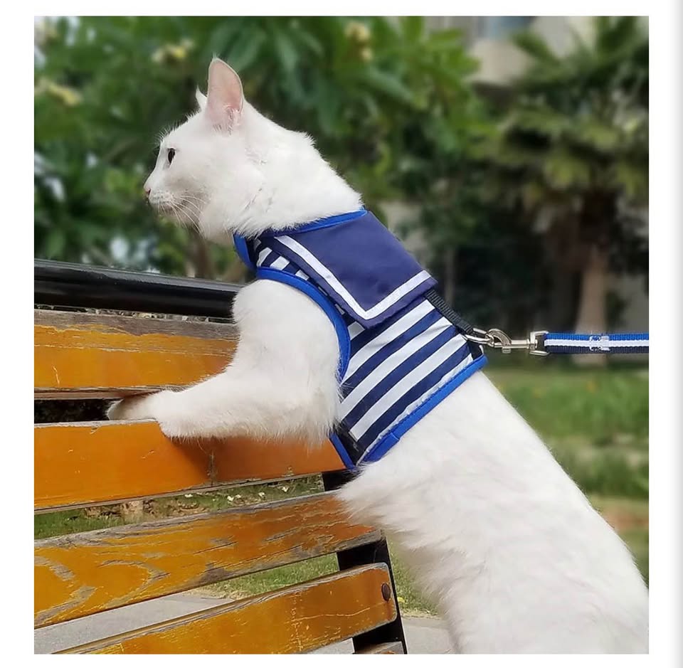 Catcho Sailor Style Cat Harness and Leash Set