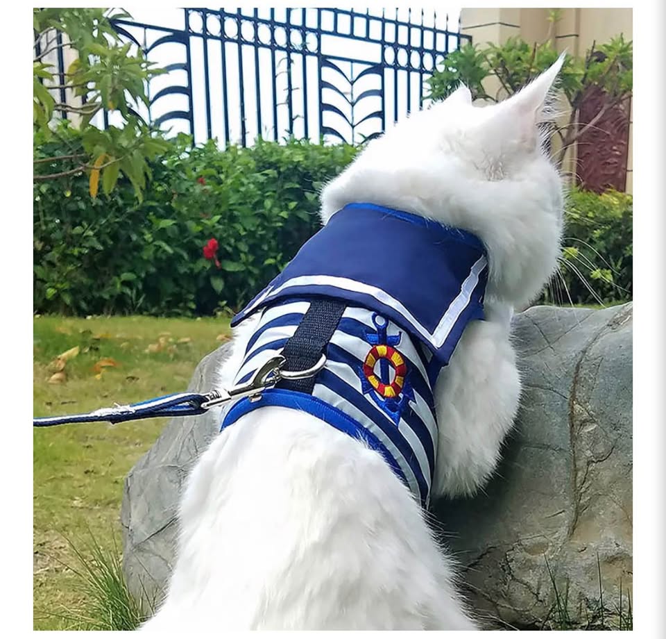 Catcho Sailor Style Cat Harness and Leash Set