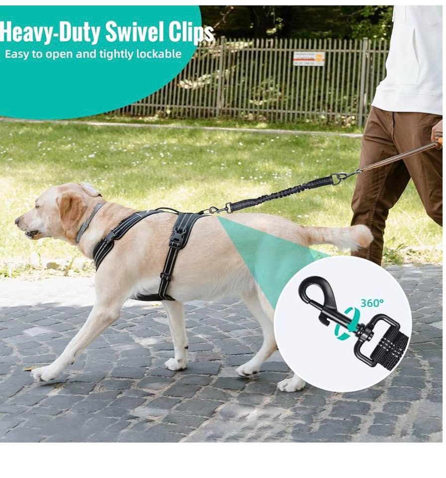 Bungee Leash Extension Attachment, 21” Shock Absorbing Lead Extension Absorber, 
