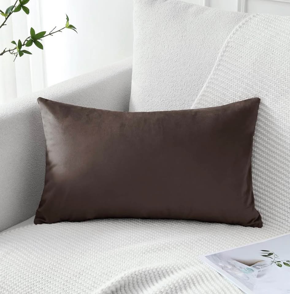 2 pack Luxury Velvet Pillow Covers 50x30cm