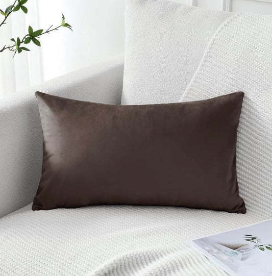 2 pack Luxury Velvet Pillow Covers 50x30cm