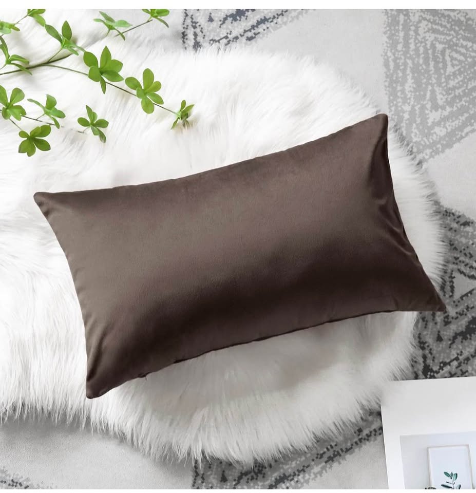 2 pack Luxury Velvet Pillow Covers 50x30cm