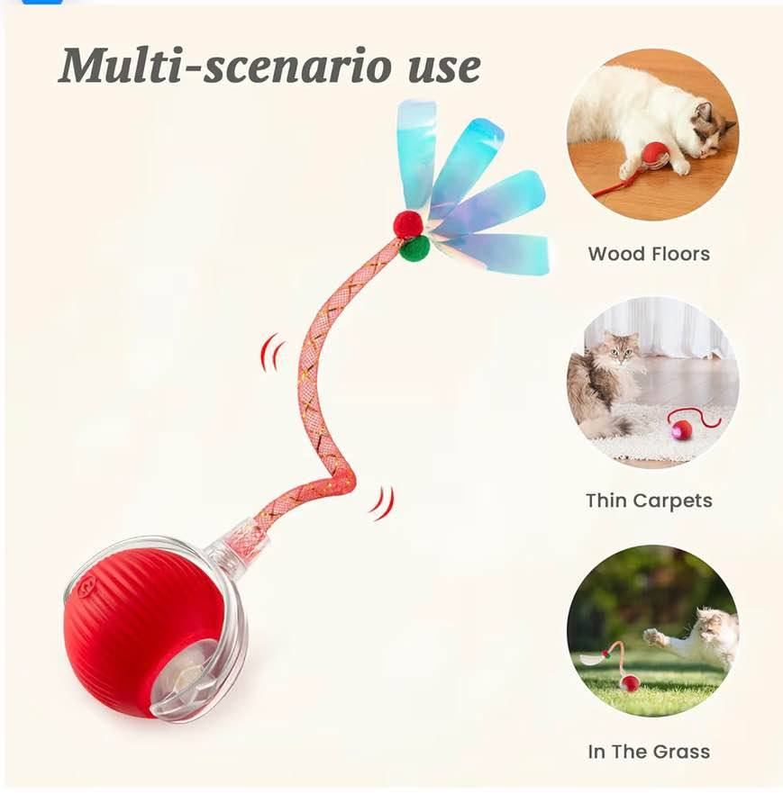 Interactive Cat Toy for Indoor Cats Fast Rolling on Carpet, Speedy Tail 2.0 Cat 