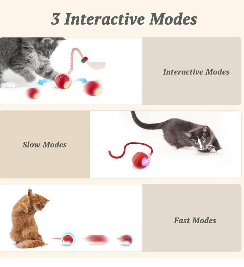 Interactive Cat Toy for Indoor Cats Fast Rolling on Carpet, Speedy Tail 2.0 Cat 