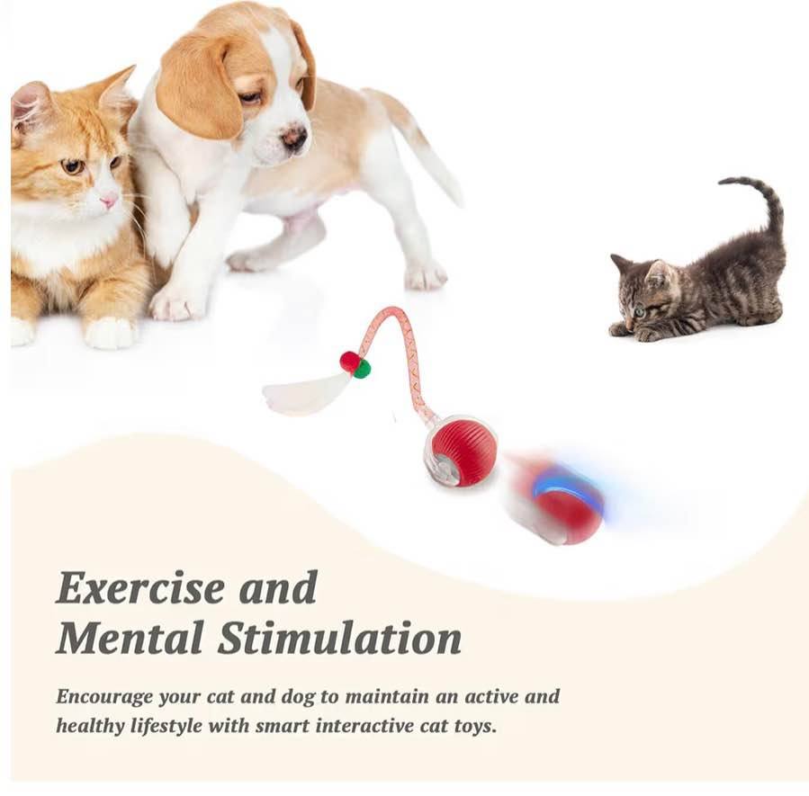 Interactive Cat Toy for Indoor Cats Fast Rolling on Carpet, Speedy Tail 2.0 Cat 