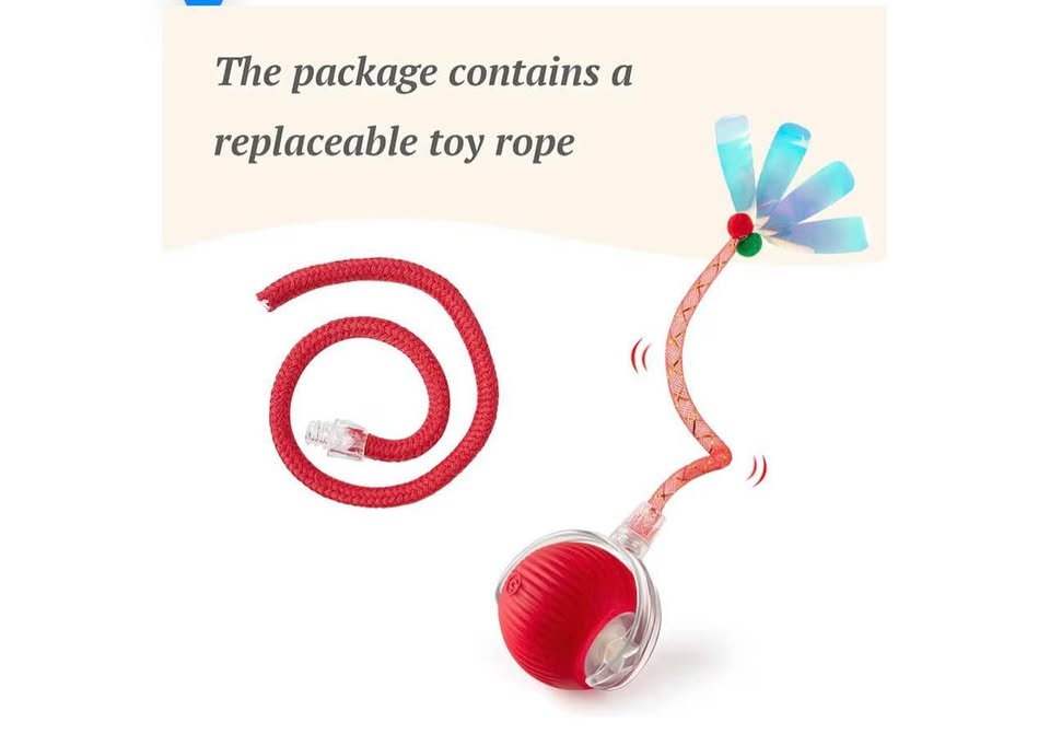 Interactive Cat Toy for Indoor Cats Fast Rolling on Carpet, Speedy Tail 2.0 Cat 