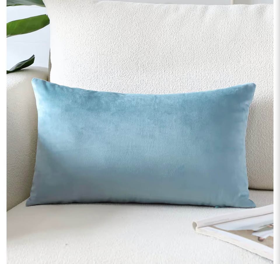 2 pack Velvet Throw Pillow covers 50x30cm