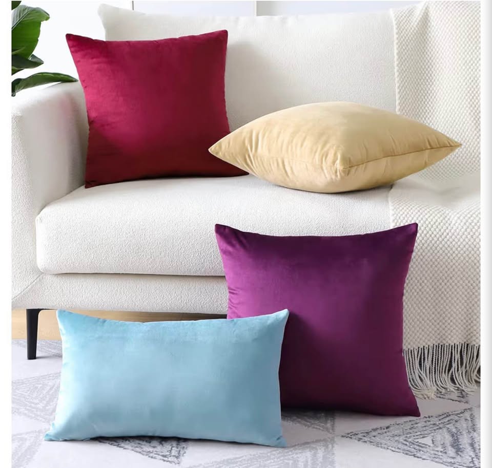 2 pack Velvet Throw Pillow covers 50x30cm