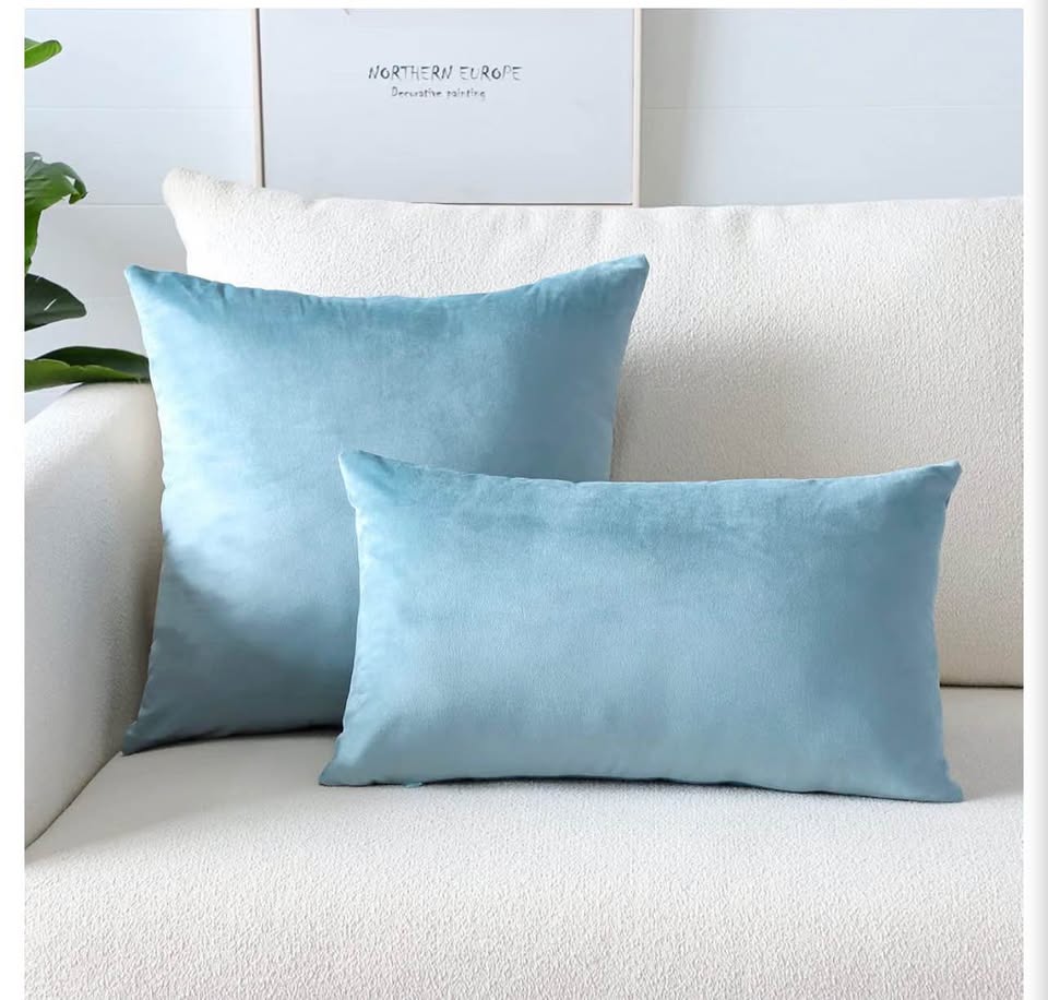 2 pack Velvet Throw Pillow covers 50x30cm