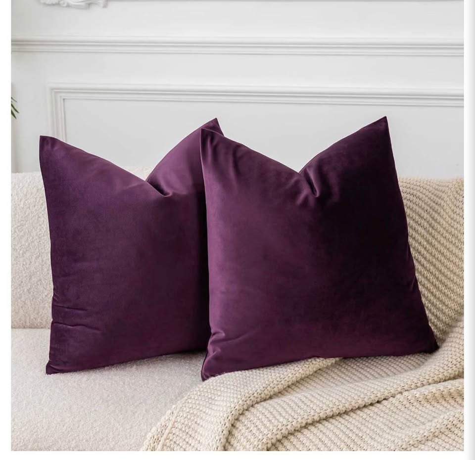 Eggplant Velvet Cushion Covers Set of 2