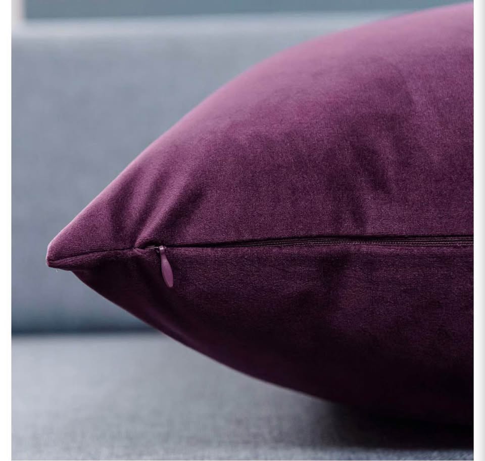 Eggplant Velvet Cushion Covers Set of 2