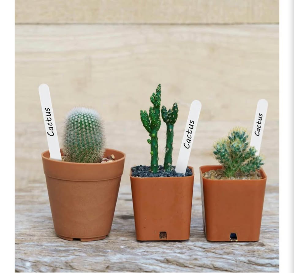 100-Piece White Plastic Plant Labels (12cm)