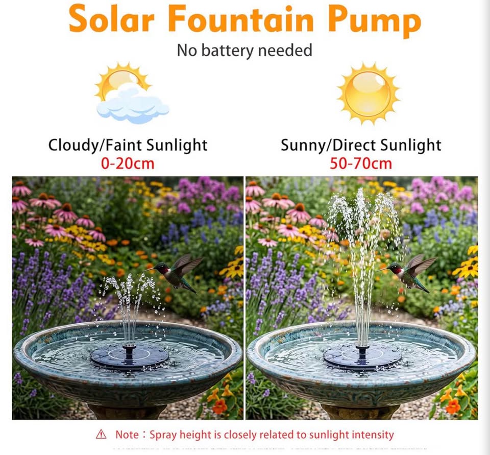 Solar Fountain Pump for Birdbath