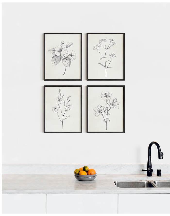 Grey Floral Wall Art - Set of 4 Plant Posters for Wall Vintage, Botanical Prints
