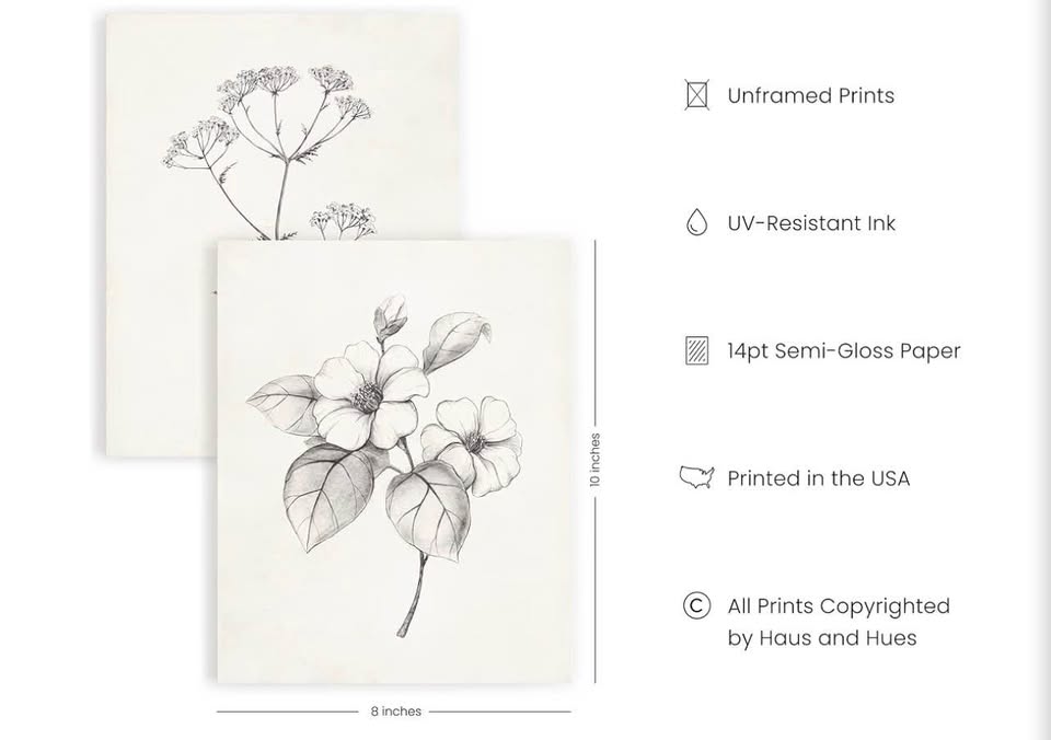 Grey Floral Wall Art - Set of 4 Plant Posters for Wall Vintage, Botanical Prints